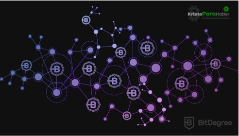 Dünya’nın İlk Blockchain Tabanlı Online Eğitim Platformu: BitDegree