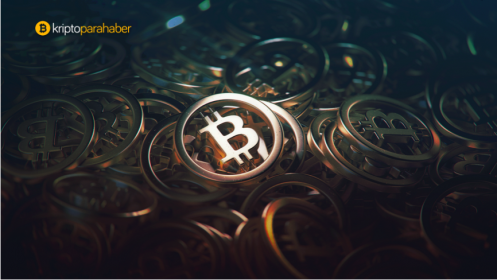 Bitcoin bağış fonu internet arşvine 1 milyon dolarlık Bitcoin bağışladı.