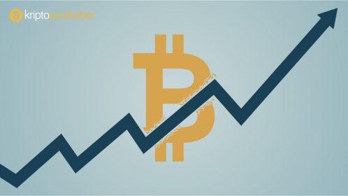Bitcoin ve Altcoinler toplamda yarım trilyon dolarlık piyasa değerine ulaştı