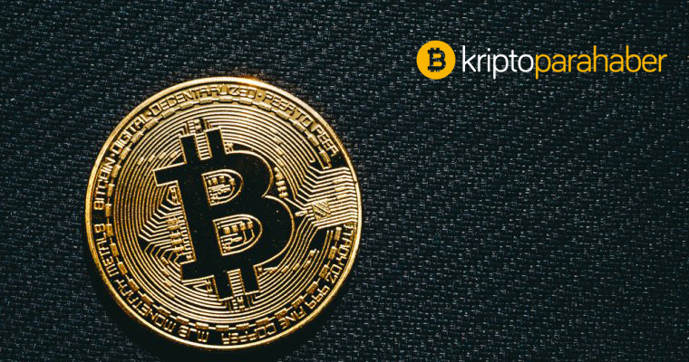 bitcoin yılın terimi seçildi