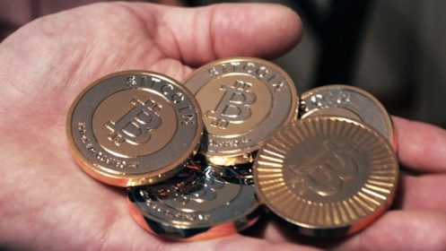 Bitcoin milyoneri parasını bağışlıyor