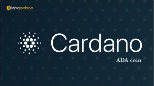 Cardano (ADA) coin nedir ve nasıl çalışır? Detaylı ADA Coin Rehberi