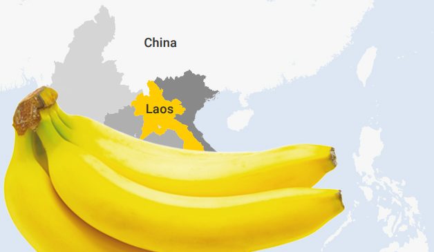 bananacoin