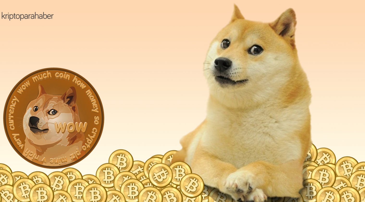 dogecoin