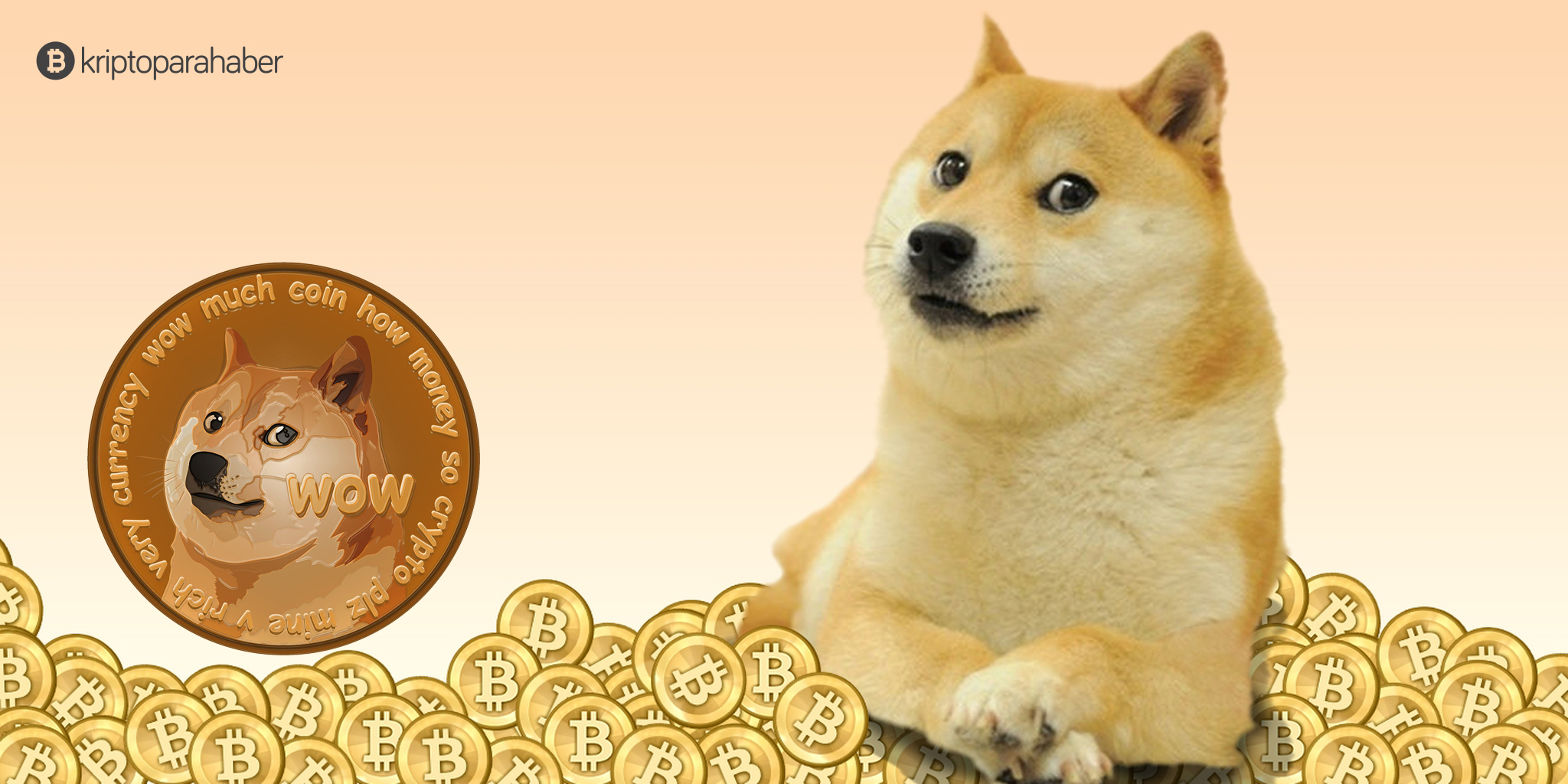 dogecoin