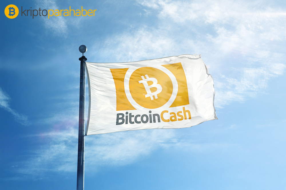 bitcoin cash fiyatı