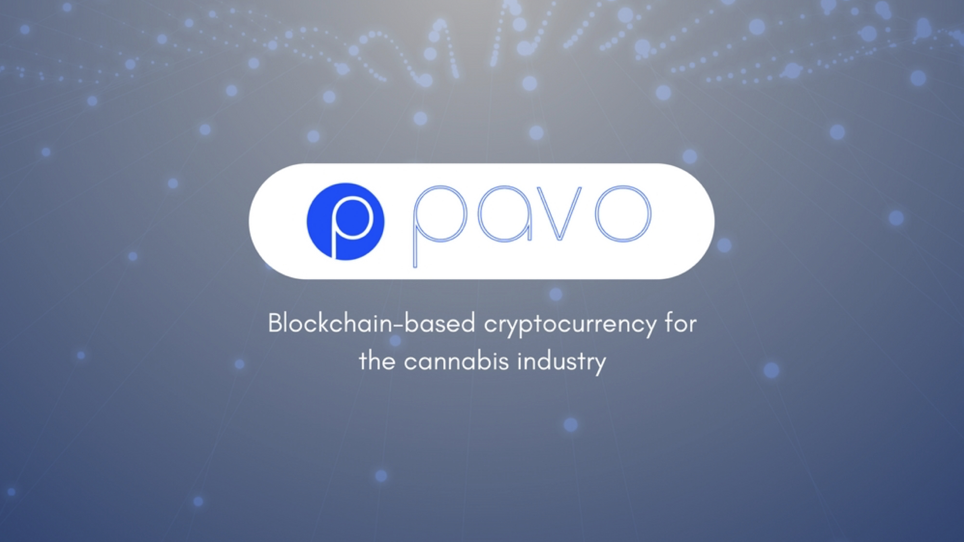 Pavo