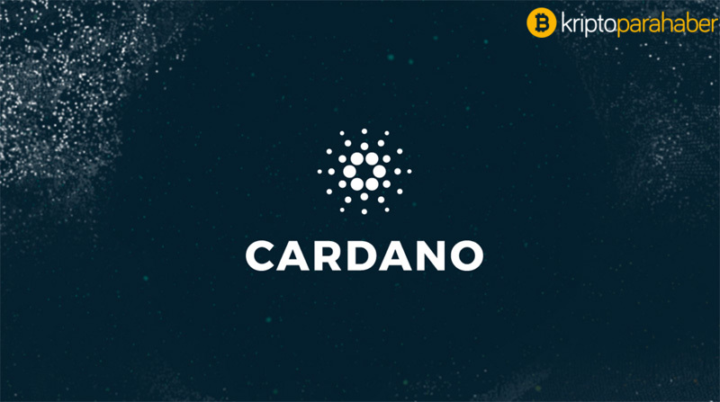 cardano, ada, kripto para haberleri