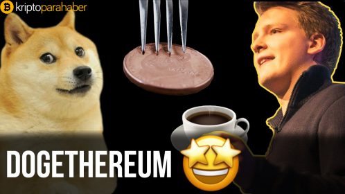 Dogecoin 2018 sonlarında Dogethereum olarak çatallanacak