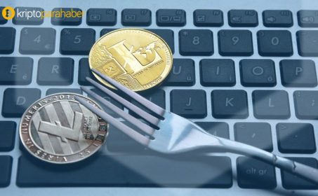 Charlie Lee, Litecoin Cash’i scam olarak görüyor