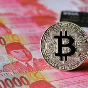 Endonuzya'da yakında Borsacıdan çok, Bitcoin yatırımcısı olacak