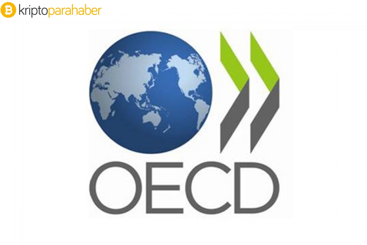OECD: “Kripto vergi politikaları