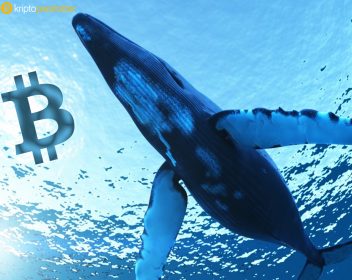 Gerçek Bitcoin balinaları nerede? İşte cevabı