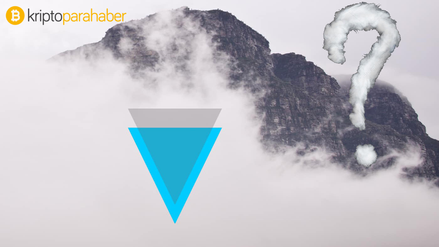 verge yatırımcıları