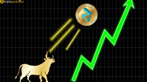 Doge Coin’den sonra Zilliqa da TikTok potansiyelinin farkına vardı