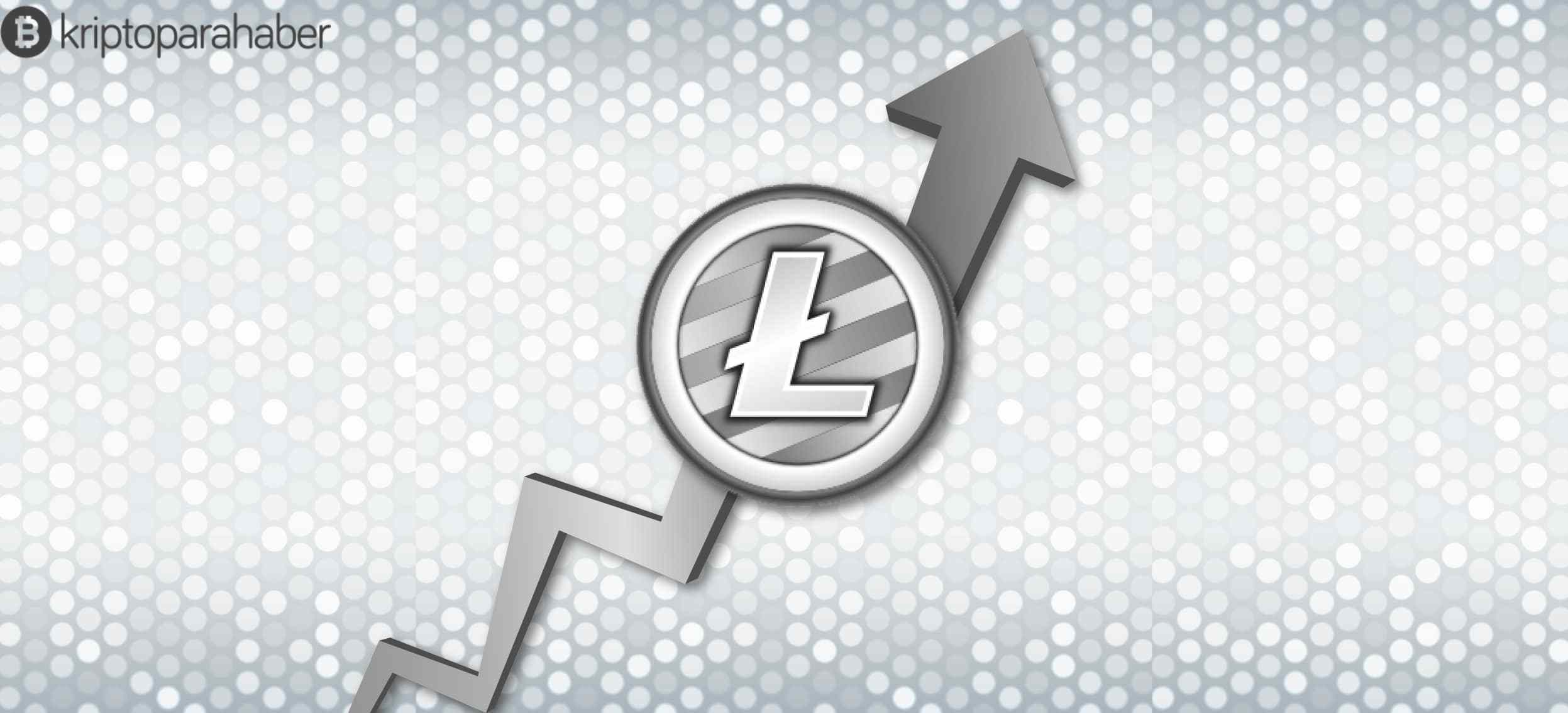 Litecoin fiyatı zarar riskini azaltmak için mücadele ediyor