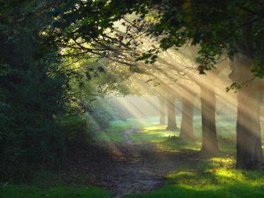 Ethereum ve Stellar Lumens için umut ışığı nedir?