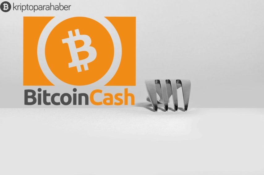 Bitcoin Cash düğümlerinin yüzde 13'ü hala çalışmıyor