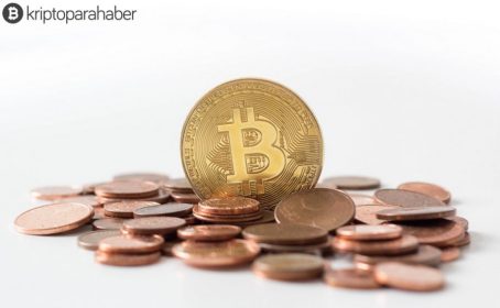 “Kripto paralar gelecekte fiat paraların yerini alacak.”