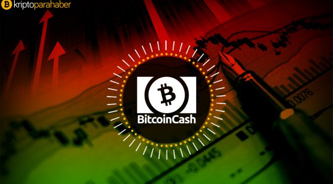 Bitcoin Cash’e ne oluyor? BCH düşüşünü devam ettirecek mi?