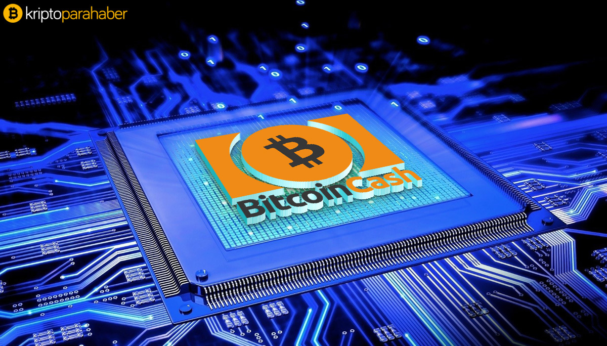 Bitcoin Cash anahtar destek seviyesinin üzerine çıkmaya çalışıyor