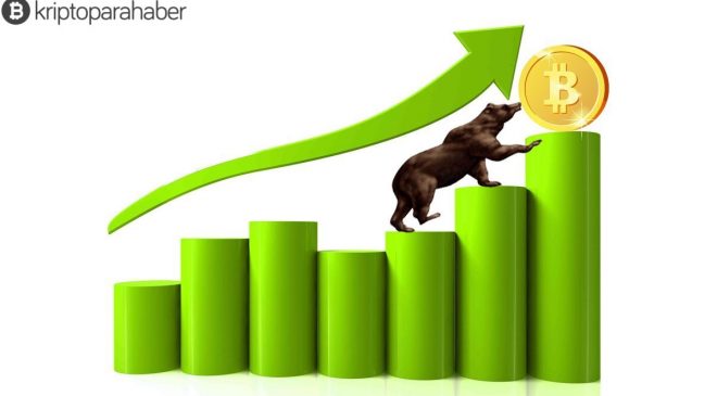 Ayılar Bitcoin fiyatını ele geçirdi: Piyasa ise dik düşüşe geçti!