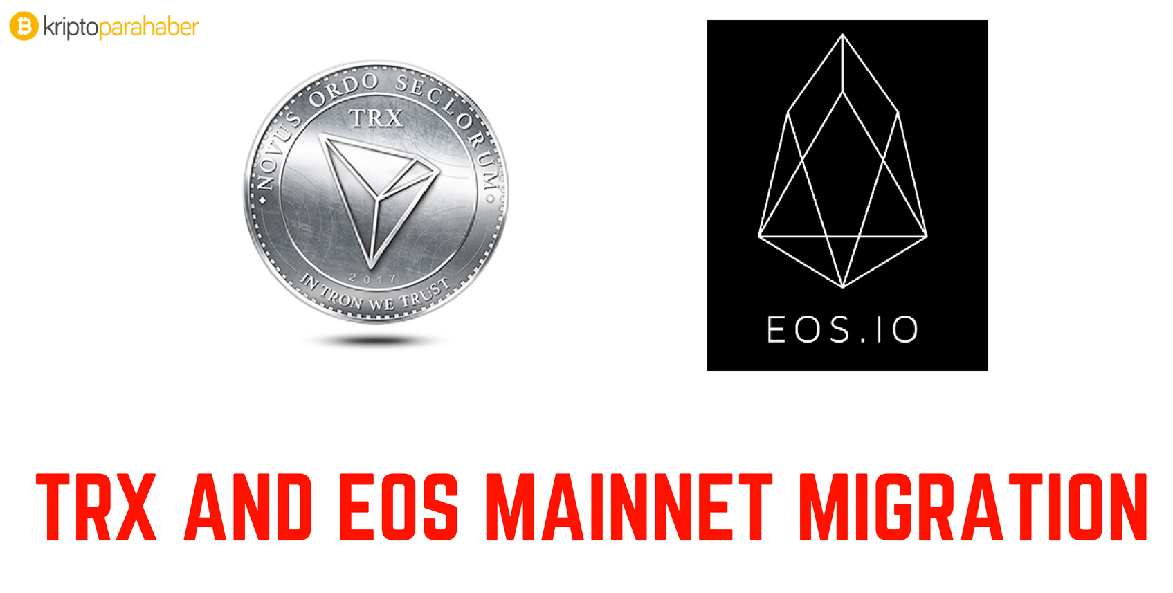 TRON ve EOS sahipleri şimdi ne yapmalı?