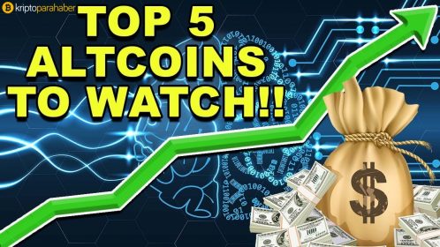 Uzun vadeli yatırımlar için en iyi beş kripto para