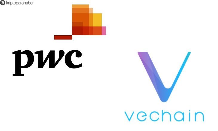 Dünyanın en büyük ikinci denetim firması VeChain’e yatırım yapıyor