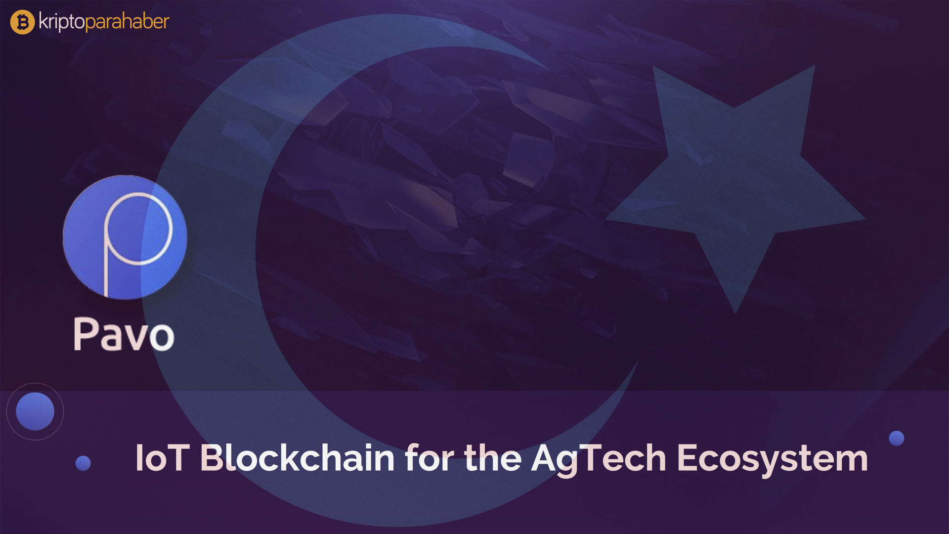 Pavocoin Türkiye'de!