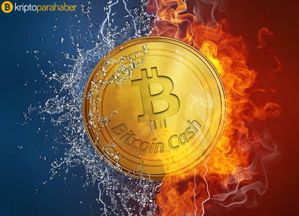 BCHZ18 üzerinde Bitcoin Cash ABC forku etkisi