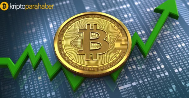 Todd Gordon: “Bitcoin’den yüzde 30 zarar etsem bu büyük bir sorun değil.”