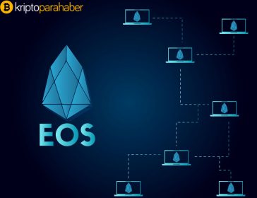 En büyük beşinci kripto para biriminin ana ağ lansmanı