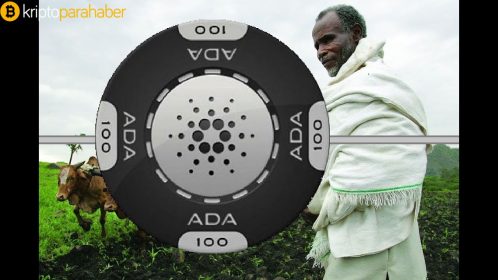 Cardano Afrika Kıtası’na açılıyor!