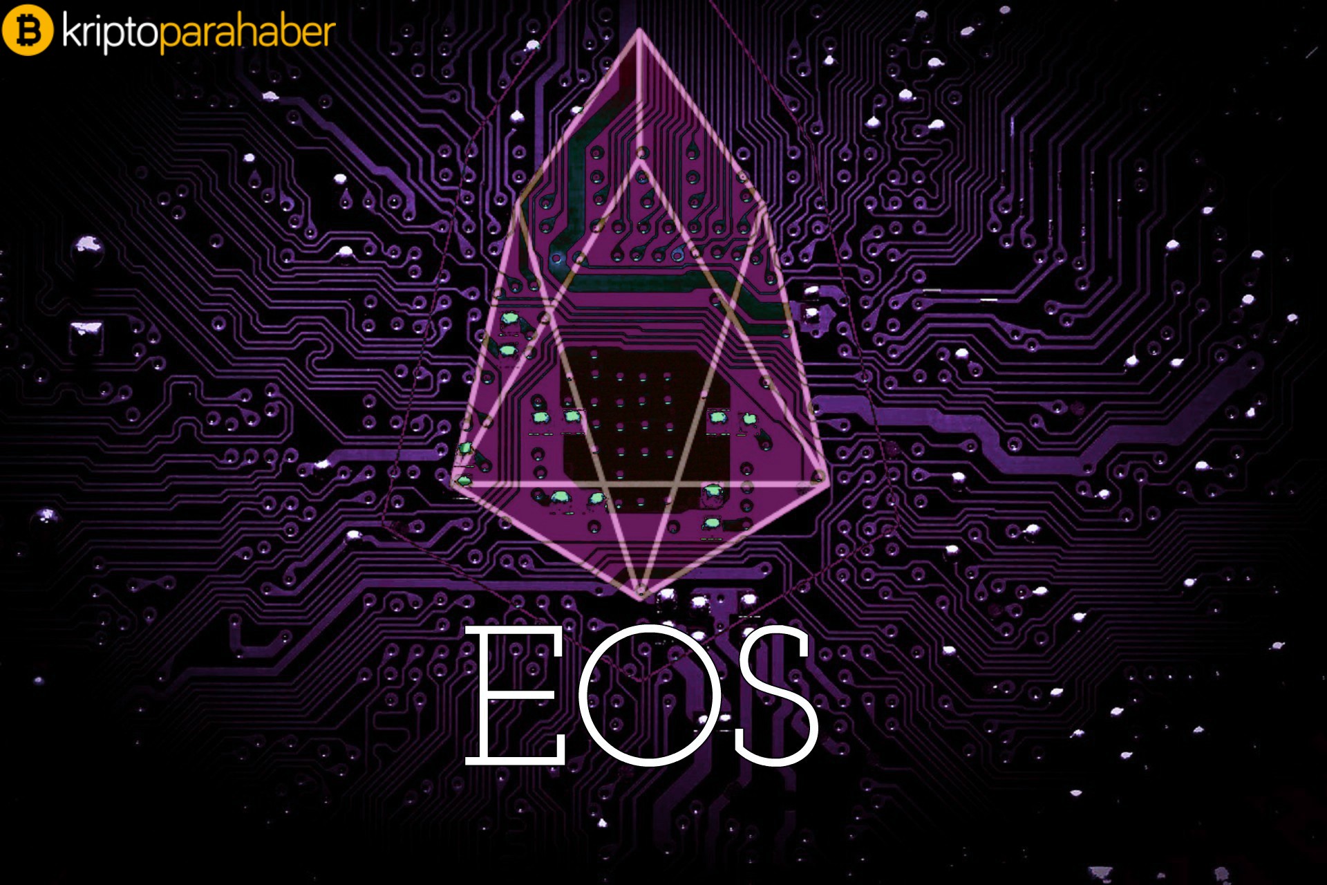 Michael Novogratz: “EOS birkaç ay içinde saniyede 50 bin işlem yapmalı.”