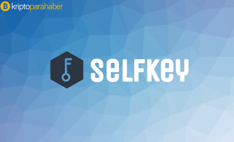 SelfKey (KEY) tokeninin artış hızı durmuyor: KEY yüzde 750 oranında arttı!