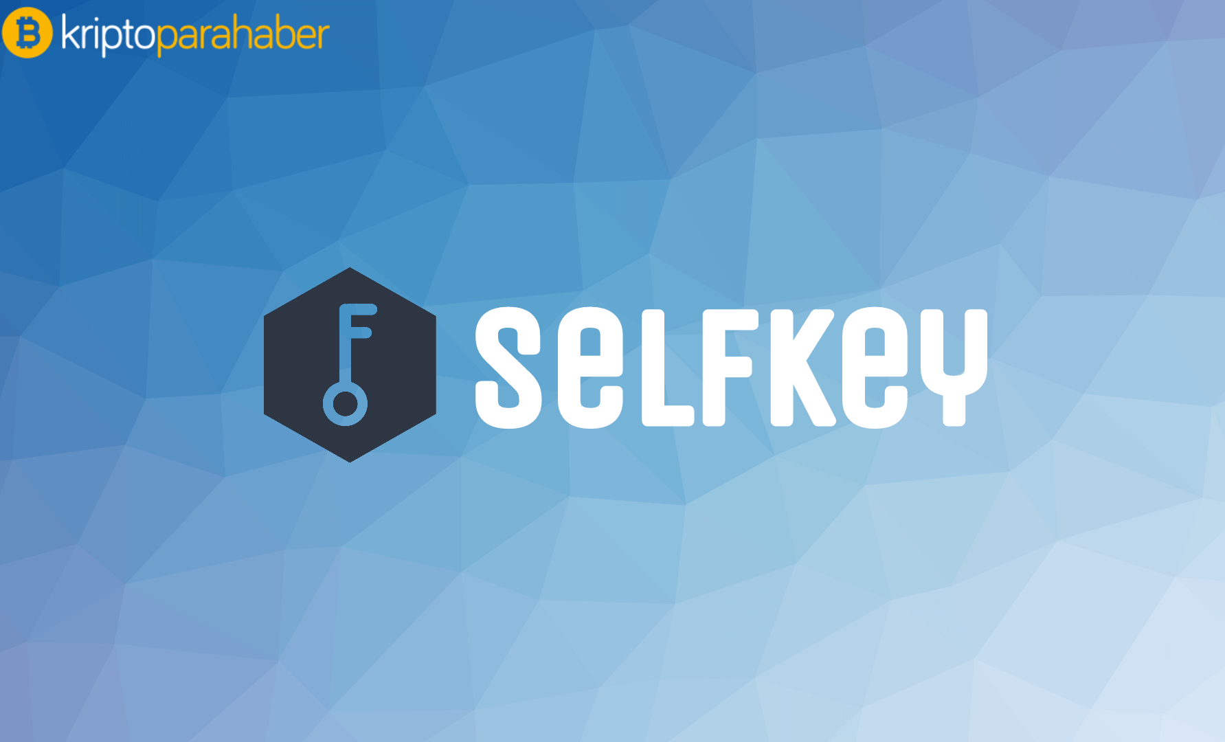 SelfKey (KEY) tokeninin artış hızı devam ediyor
