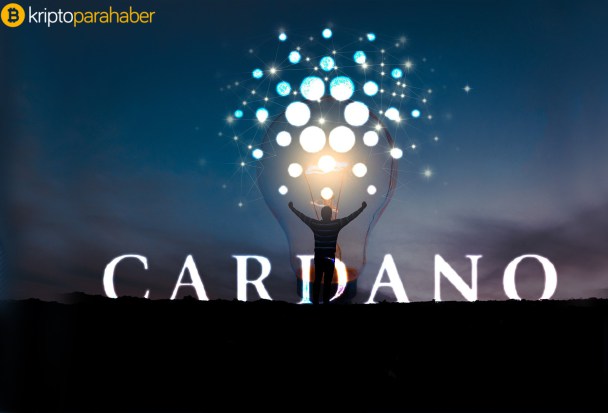 Cardano tokeni kripto kredileri için teminat oluyor
