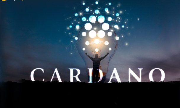 Cardano’nun haftalık gelişim güncellemeleri raporu