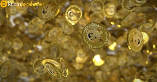 Bu Bitcoin yatırımcısı, Dogecoin yatırımcılarının paralarını kaybedeceğini iddia ediyor