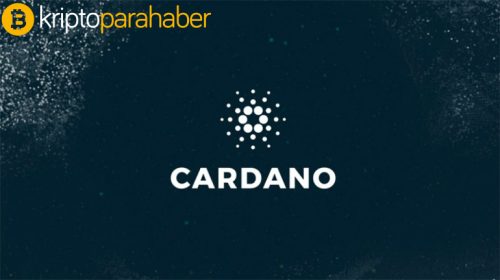 Cardano ve Google’ın yakınlığı, Ethereum’un konumunu tehdit ediyor