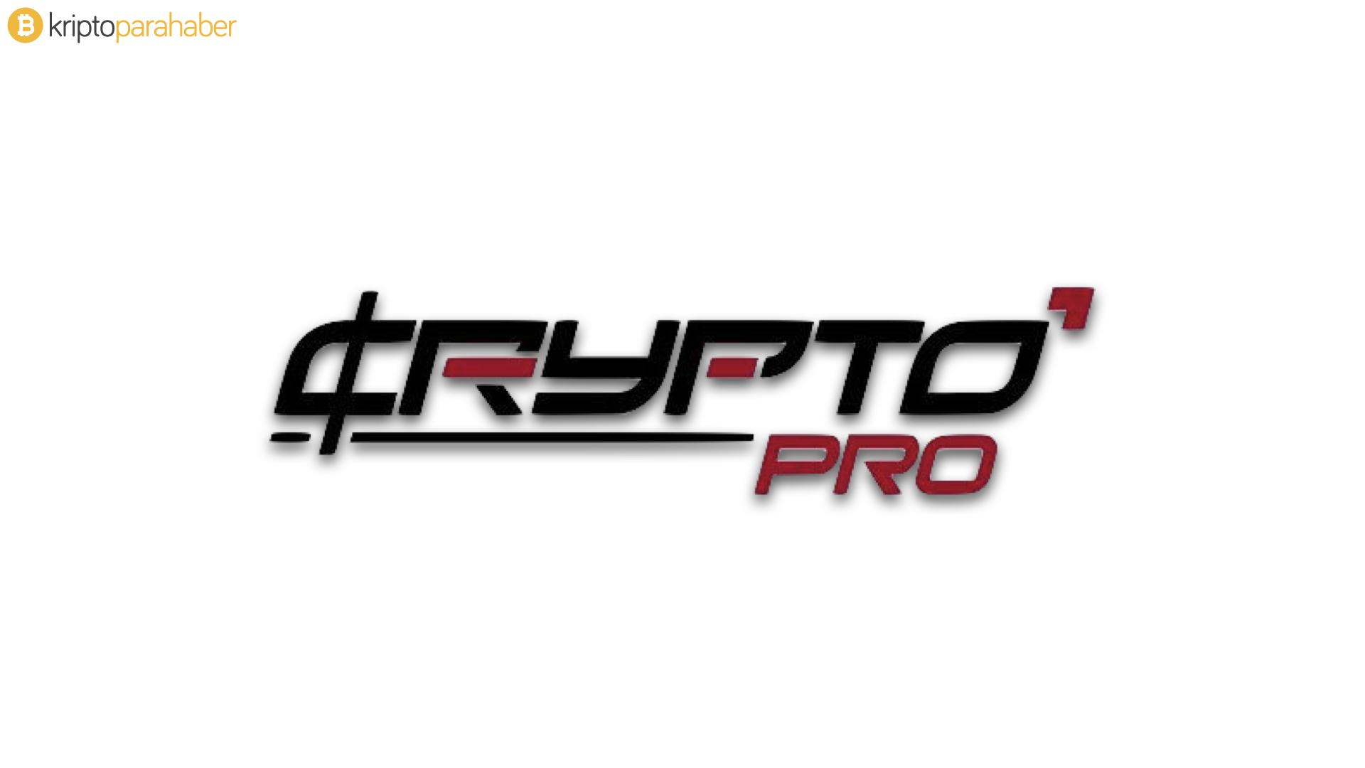Crypto Pro deneyimiyle kripto cüzdanlarınızı şişirecek!