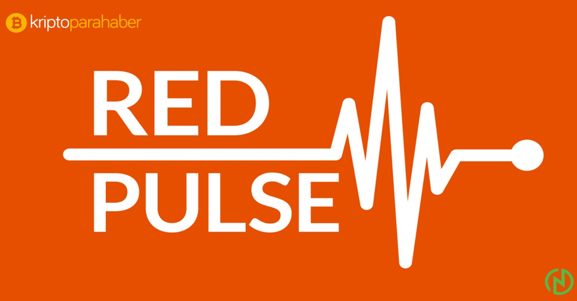 Red Pulse, PHOENIX bulut tabanlı bilgi ağını duyurdu