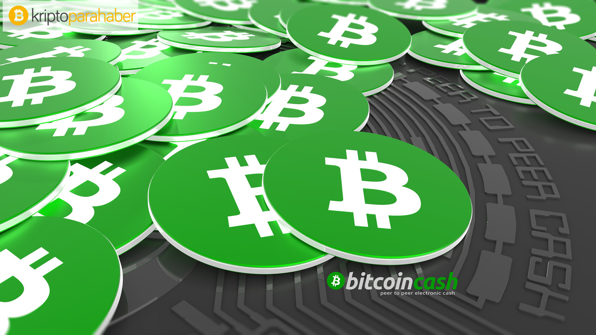 bitcoin cash 24 temmuz