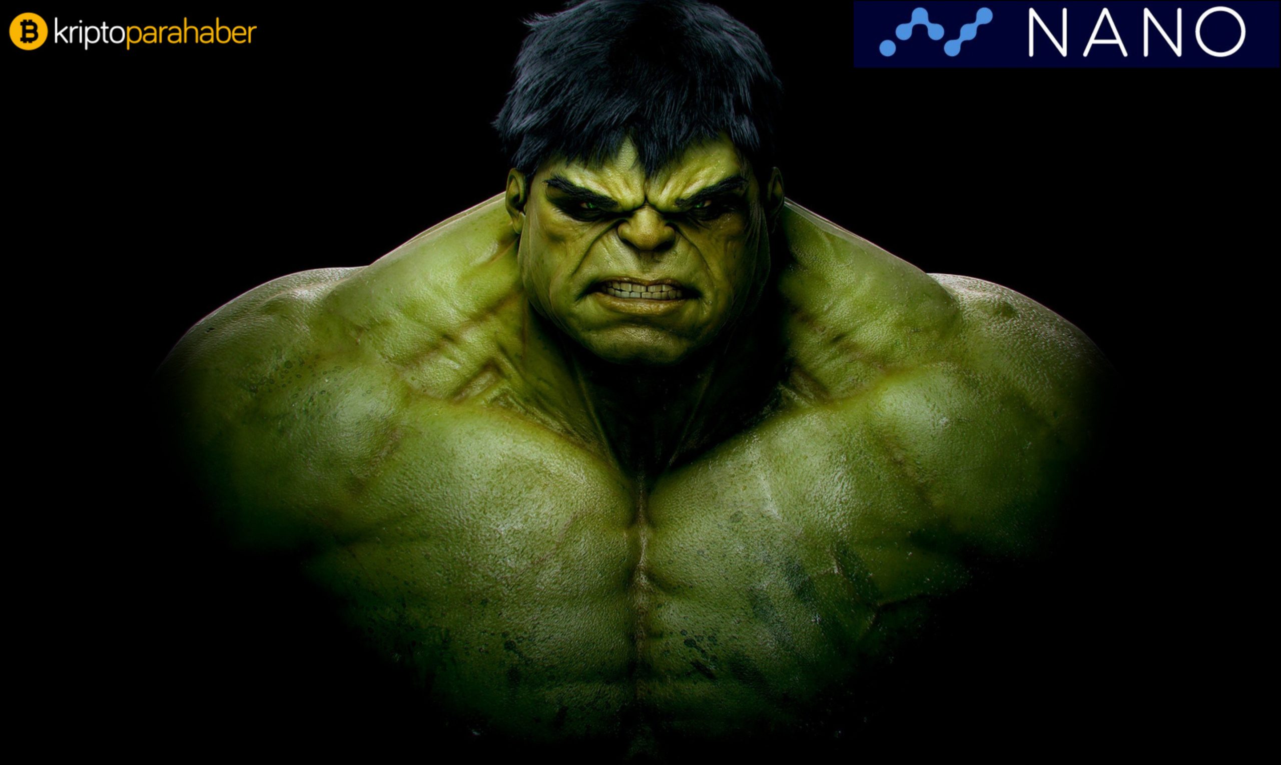 Nano (NANO) uyuyan bir dev mi?