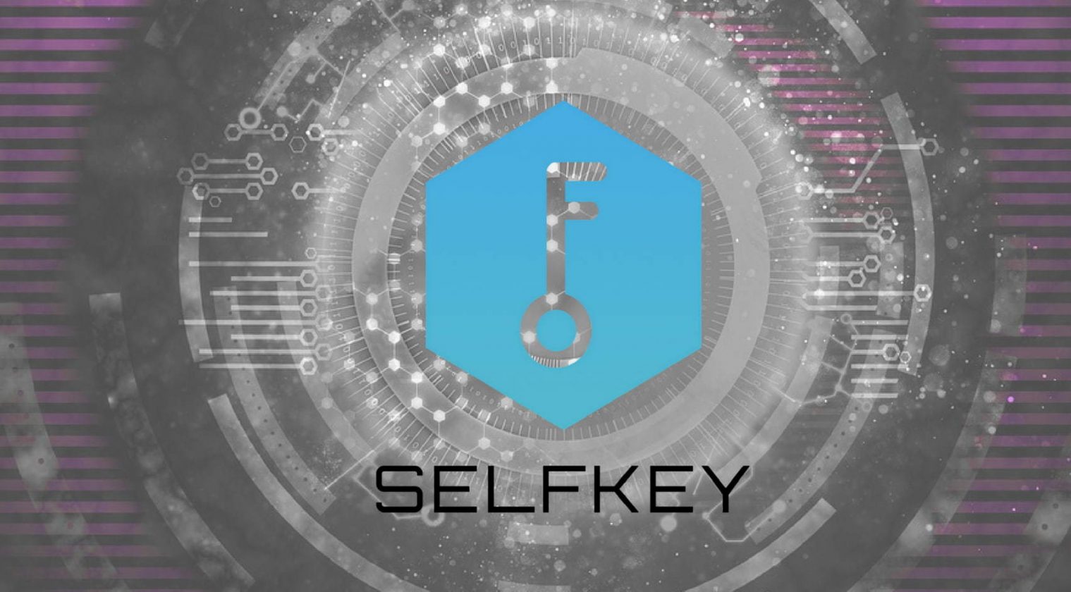 Piyasalar düşüş yaşarken Selfkey performansı ile şaşırtıyor