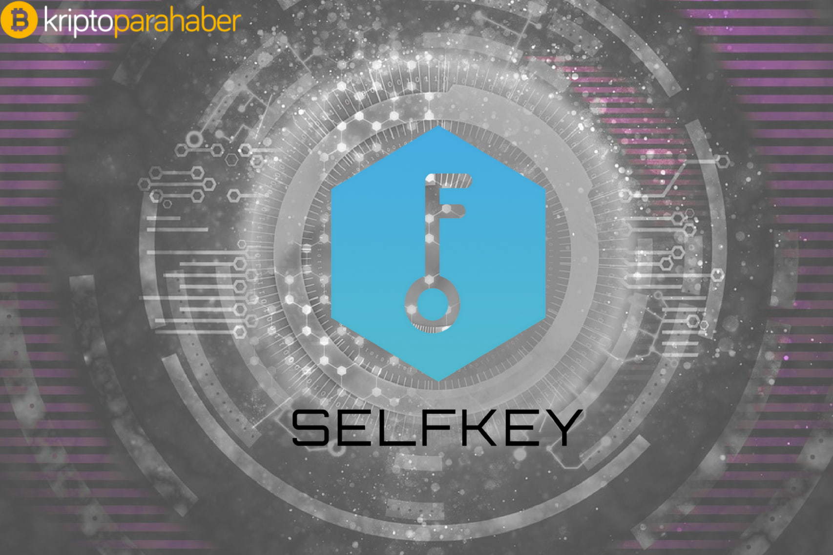Piyasalar düşüş yaşarken Selfkey performansı ile şaşırtıyor