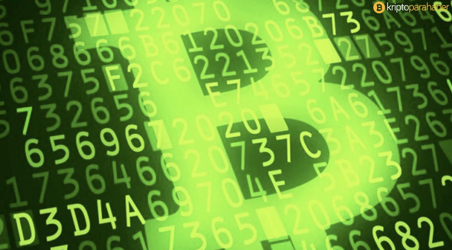 Uzman kripto para analistinden Bitcoin Cash uyarısı: “Ağ sağlığı yerlerde.”