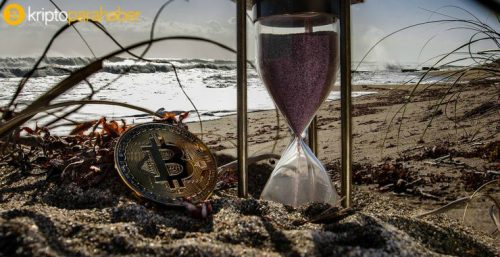 Xapo başkanı: “Kripto paraların yüzde 90’ının soyu tükenecek.”