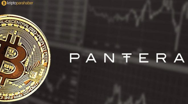 Pantera Capital ayı piyasasını yatırım fırsatı olarak görüyor.